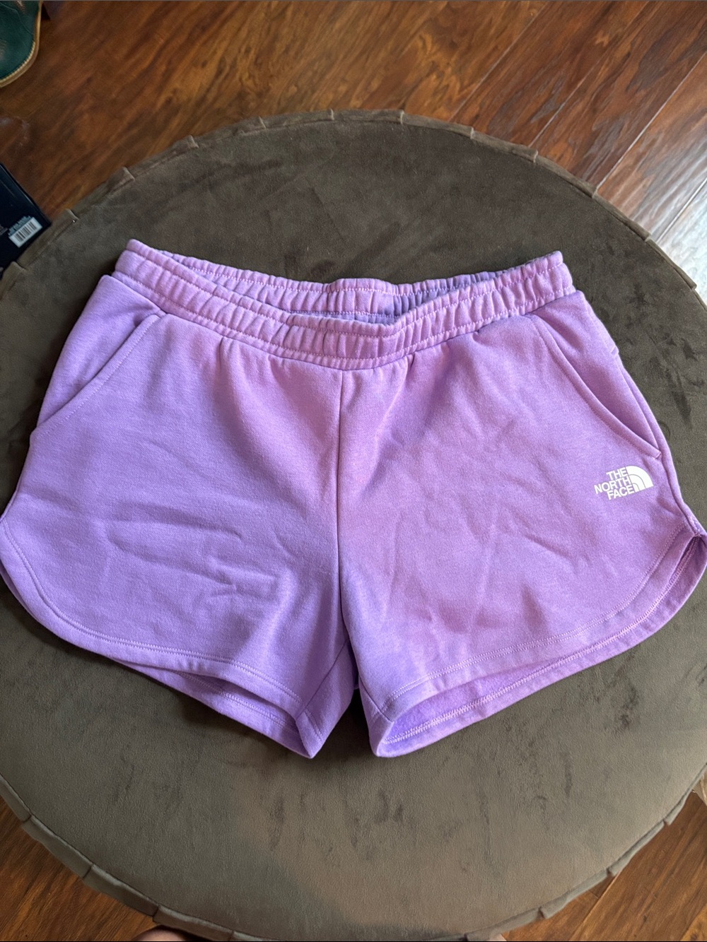 The North Face Women’s Purple Tempo Shorts